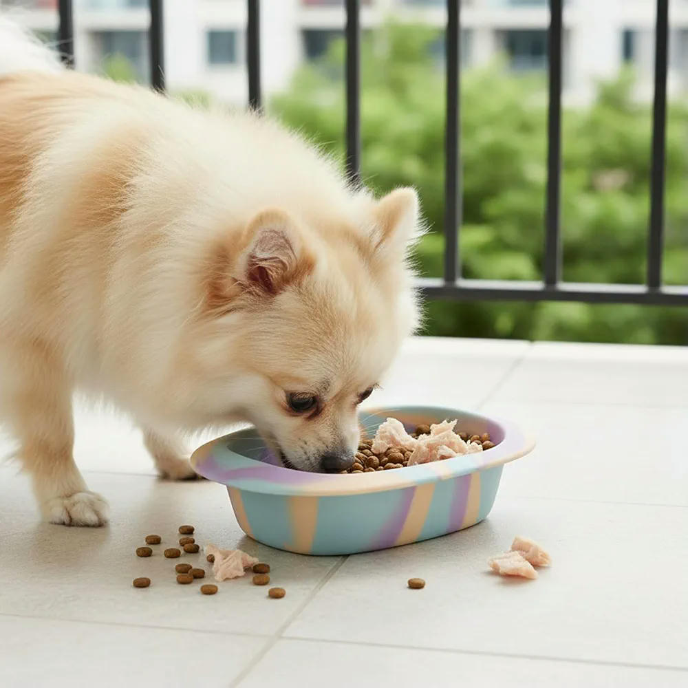 Comedero Antivoracidad de Silicona para Mascotas - Diseño Antideslizante y Saludable (Multicolor Arcoíris)