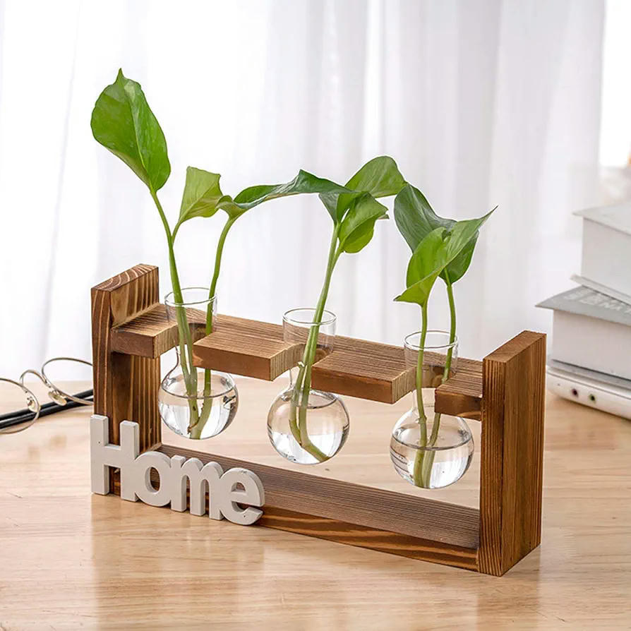 Estación de Propagación para Plantas, Jarrón Hidropónico de Vidrio, Soporte de Madera Natural, Decoración de Oficina y Hogar (Marrón)