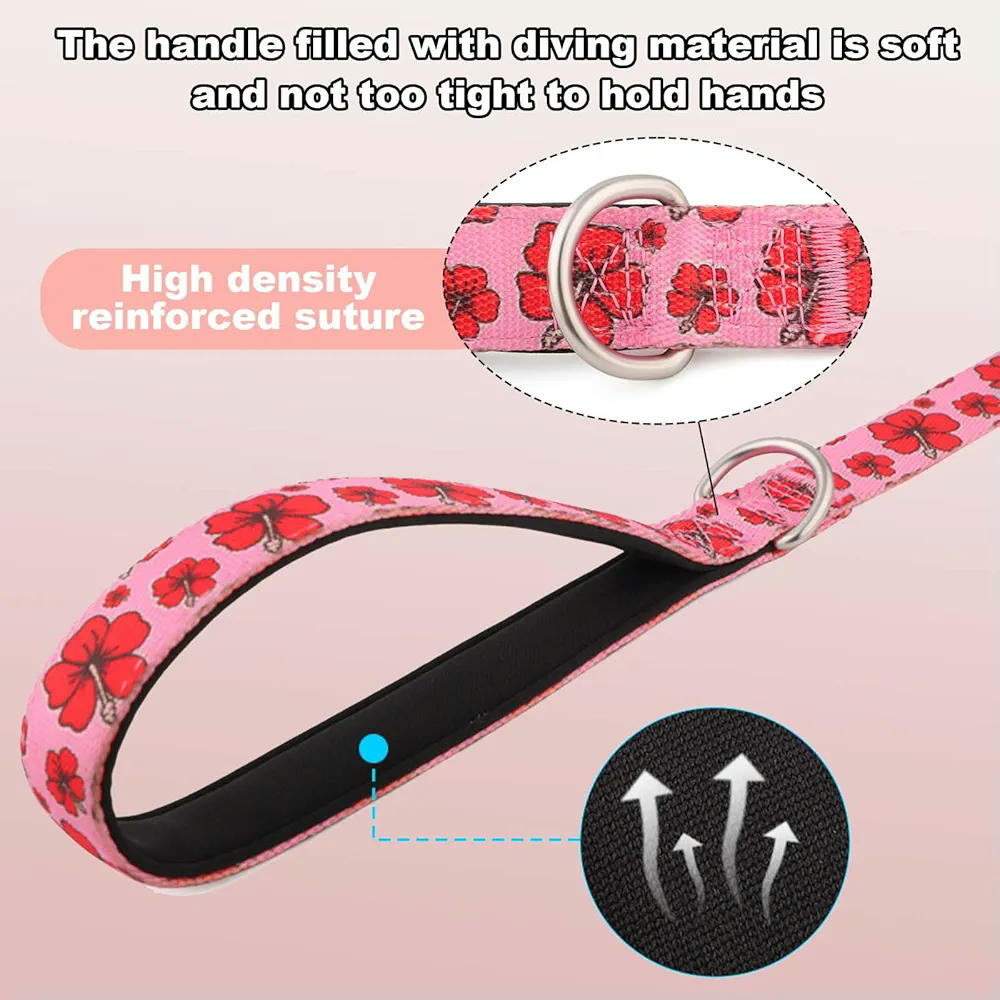 Set de collar ajustable y correa para perros pequeños y medianos, 1,5 m de largo con asa acolchada, paseos y entrenamiento, motivos de flores rojas con fondo rosa