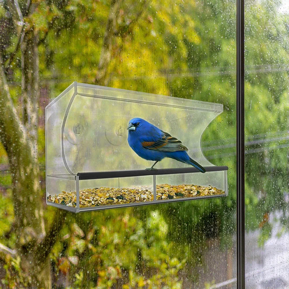 Comedero para pájaros transparente de acrílico, modelo con ventosas, alimentador ideal para periquitos y canarios, suministros de alimentación para balcón y jardín (30 cm, transparente)