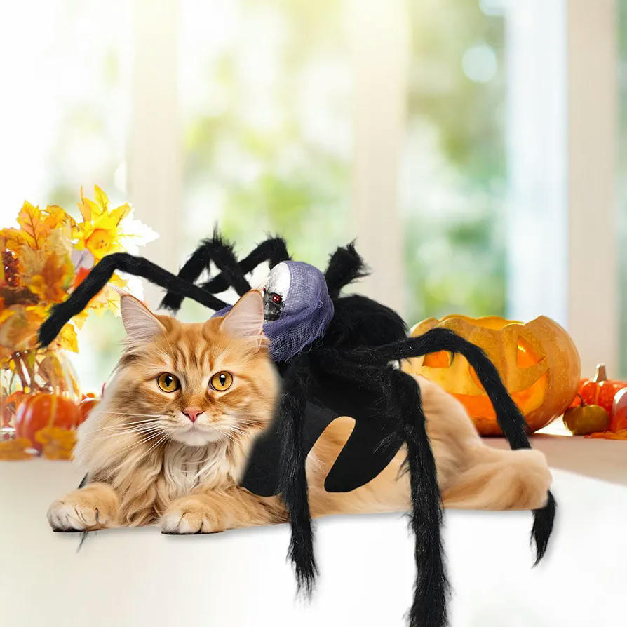 Disfraz de Halloween para Perros y Gatos, Traje de Araña Calavera Morada, Ideal para Mascotas Pequeñas y Medianas, Talla M, Color Negro