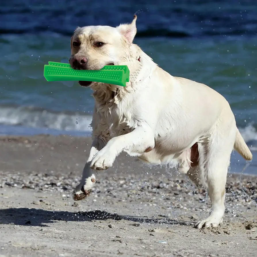 Juego de 3 Juguetes para Perros Masticables Interactivos en Tres Colores, para morder (Multicolor)