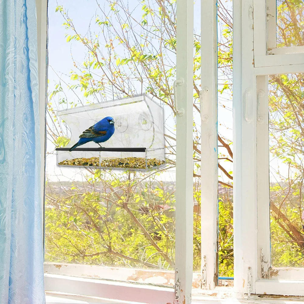 Comedero para pájaros transparente de acrílico, modelo con ventosas, alimentador ideal para periquitos y canarios, suministros de alimentación para balcón y jardín (30 cm, transparente)