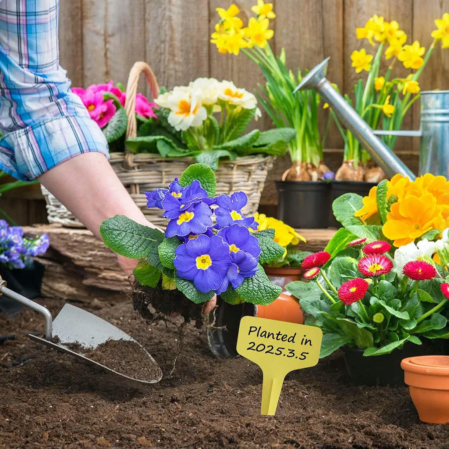 160 Piezas Etiquetas Multicolor de Plástico para Plantas, Marcadores de Jardín de 6 x 10 cm con Bolígrafo