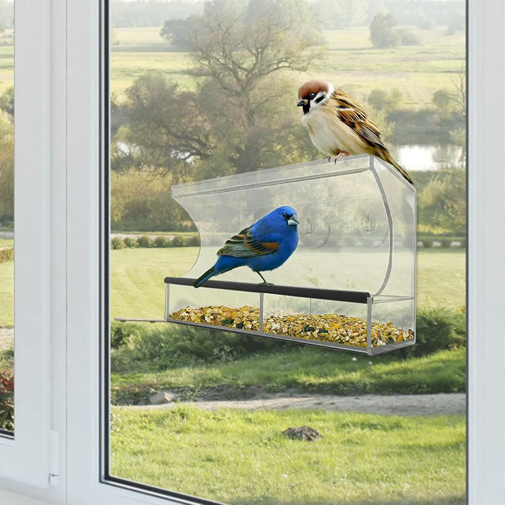 Comedero para pájaros transparente de acrílico, modelo con ventosas, alimentador ideal para periquitos y canarios, suministros de alimentación para balcón y jardín (30 cm, transparente)
