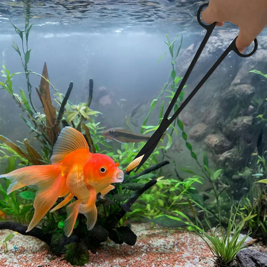 Pinzas Dobladas Negras de 25 cm y Pinzas Rectas Negras de 30 cm para Acuario (Negro)