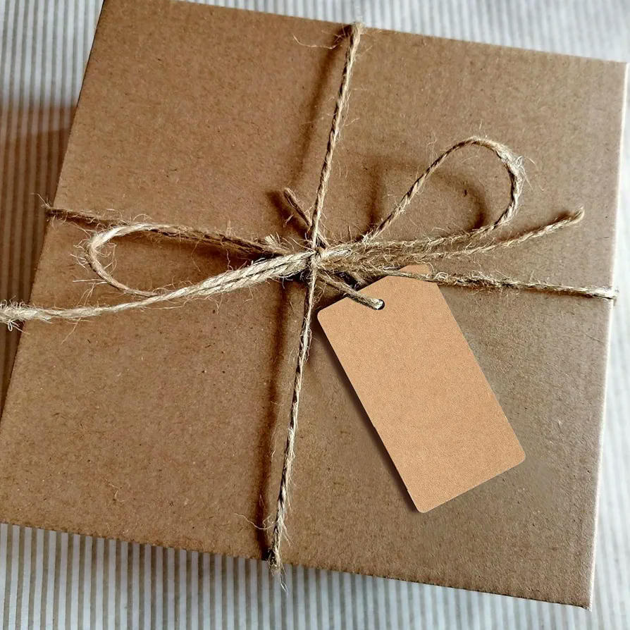Paquete de 100 Etiquetas de Regalo de Papel Kraft con Cuerda de Yute, 5x3 cm, Para Decoración y Manualidades (Marrón)