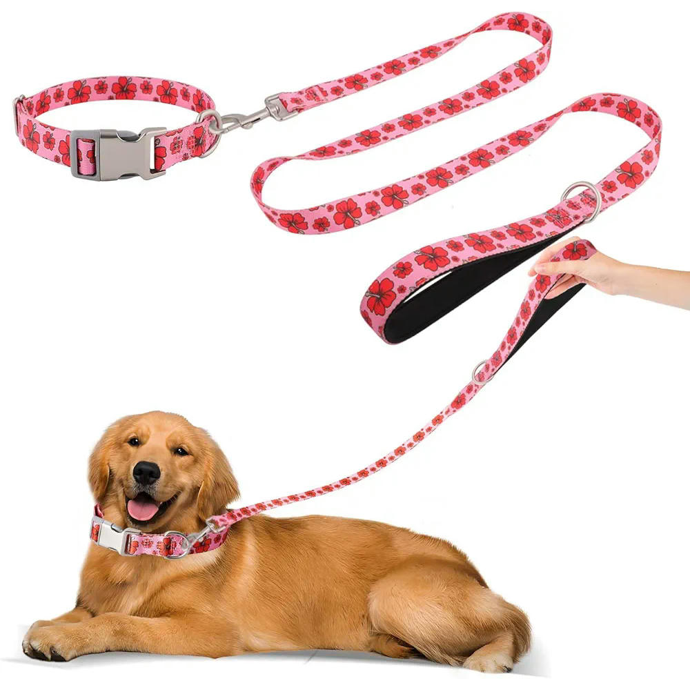 Set de collar ajustable y correa para perros pequeños y medianos, 1,5 m de largo con asa acolchada, paseos y entrenamiento, motivos de flores rojas con fondo rosa