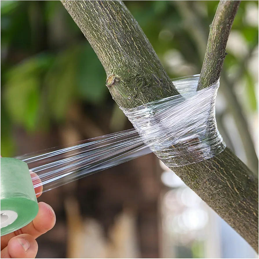 Cinta Autoadhesiva para Injerto, 3 cm x 200 m, Verde Transparente, 2 Rollos de PVC Resistente