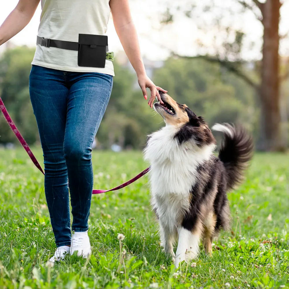 Bolsa de premios para perros, modelo multifuncional con clicker de entrenamiento, tela Oxford, color negro, con cinturón ajustable, ideal para paseos y entrenamiento