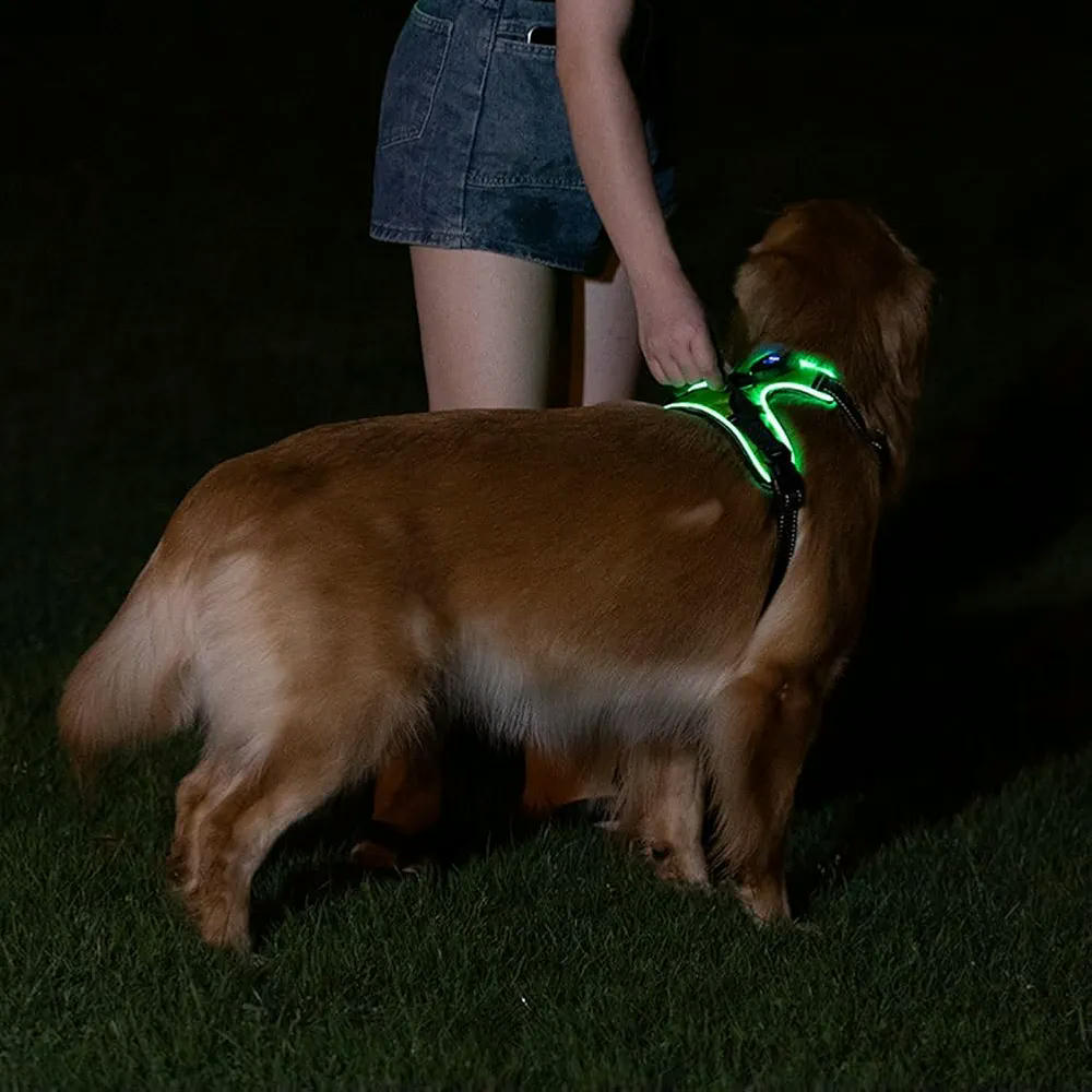 Arnés Luminoso Goufride para Mascotas, Arnés Ajustable para Perros, Talla M, Color Verde, Material Tela Oxford