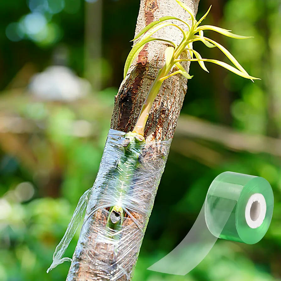Cinta Autoadhesiva para Injerto, 3 cm x 200 m, Verde Transparente, 2 Rollos de PVC Resistente