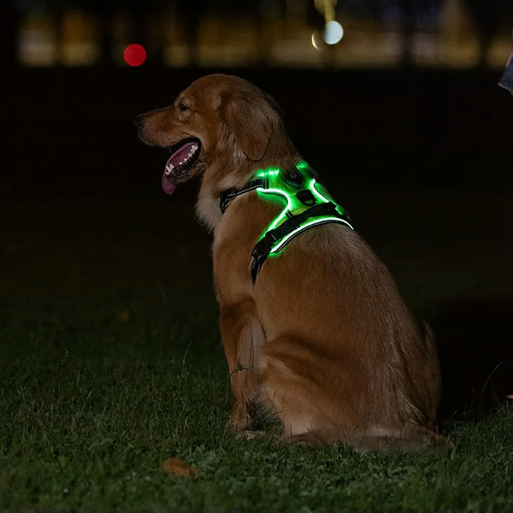 Arnés Luminoso Goufride para Mascotas, Arnés Ajustable para Perros, Talla M, Color Verde, Material Tela Oxford
