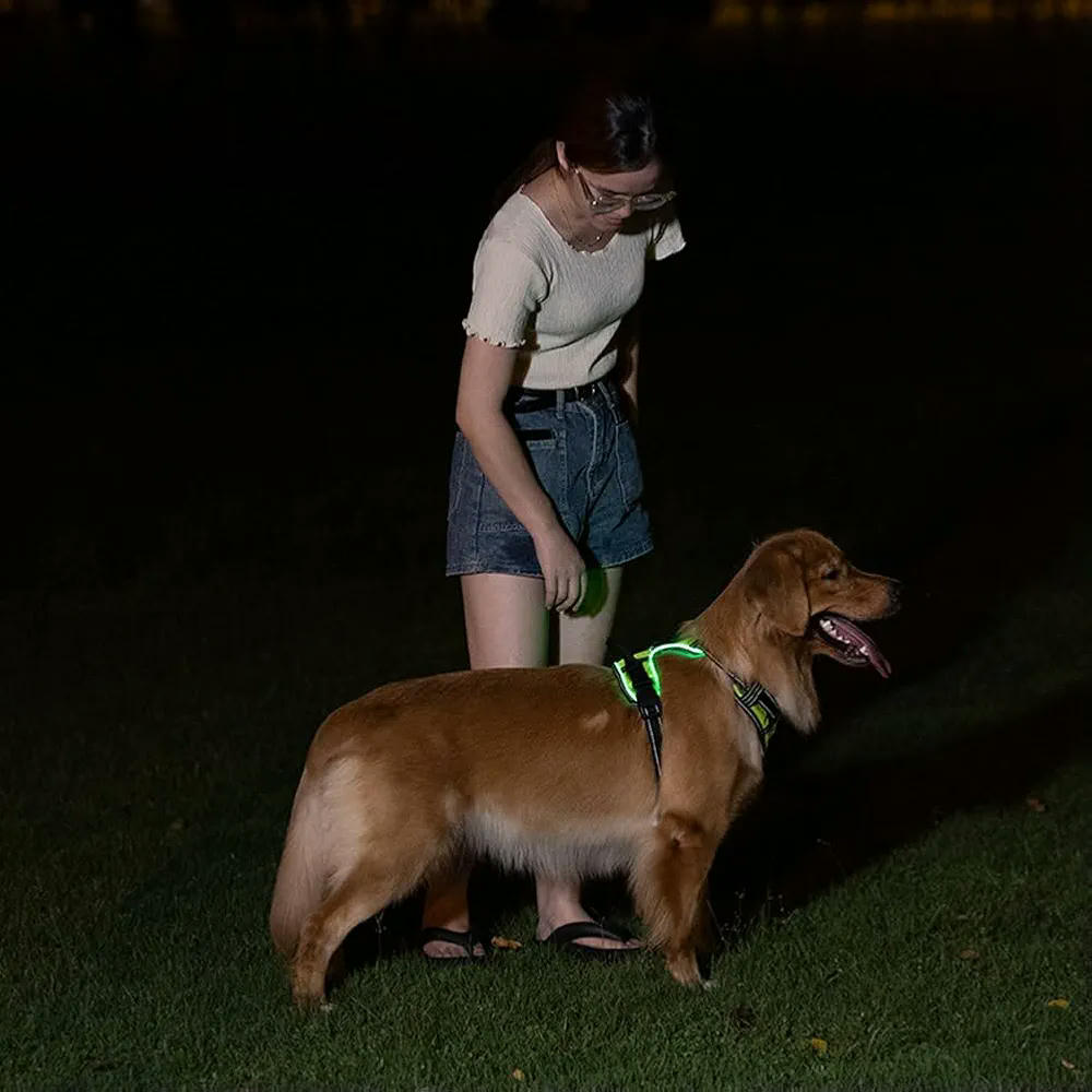 Arnés Luminoso Goufride para Mascotas, Arnés Ajustable para Perros, Talla M, Color Verde, Material Tela Oxford