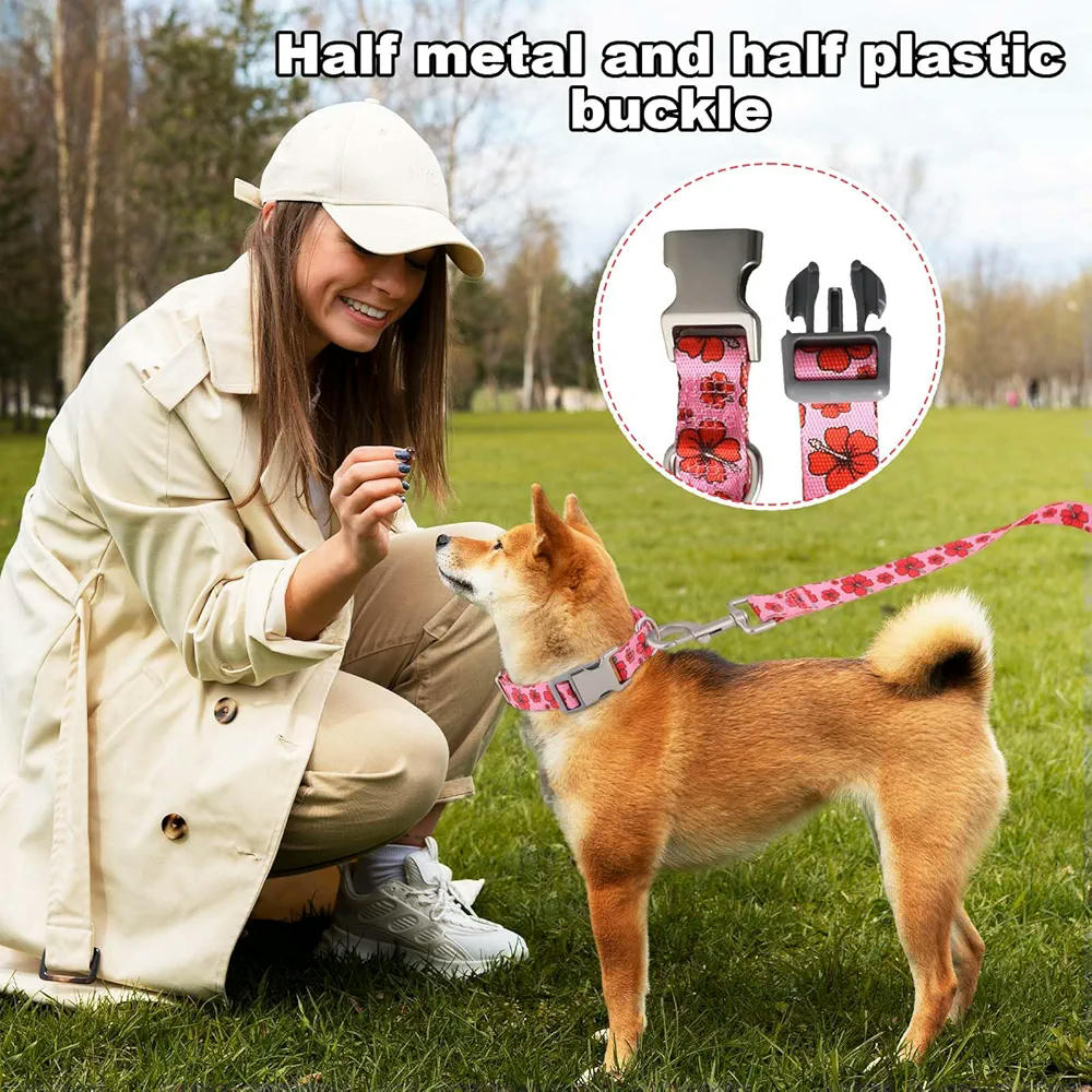 Set de collar ajustable y correa para perros pequeños y medianos, 1,5 m de largo con asa acolchada, paseos y entrenamiento, motivos de flores rojas con fondo rosa