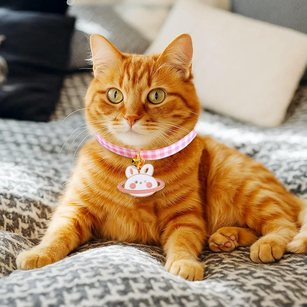 Juego de 4 collares ajustables para gatos y cachorros, hebilla de seguridad, tamaños de 17 a 32 cm, accesorios para mascotas
