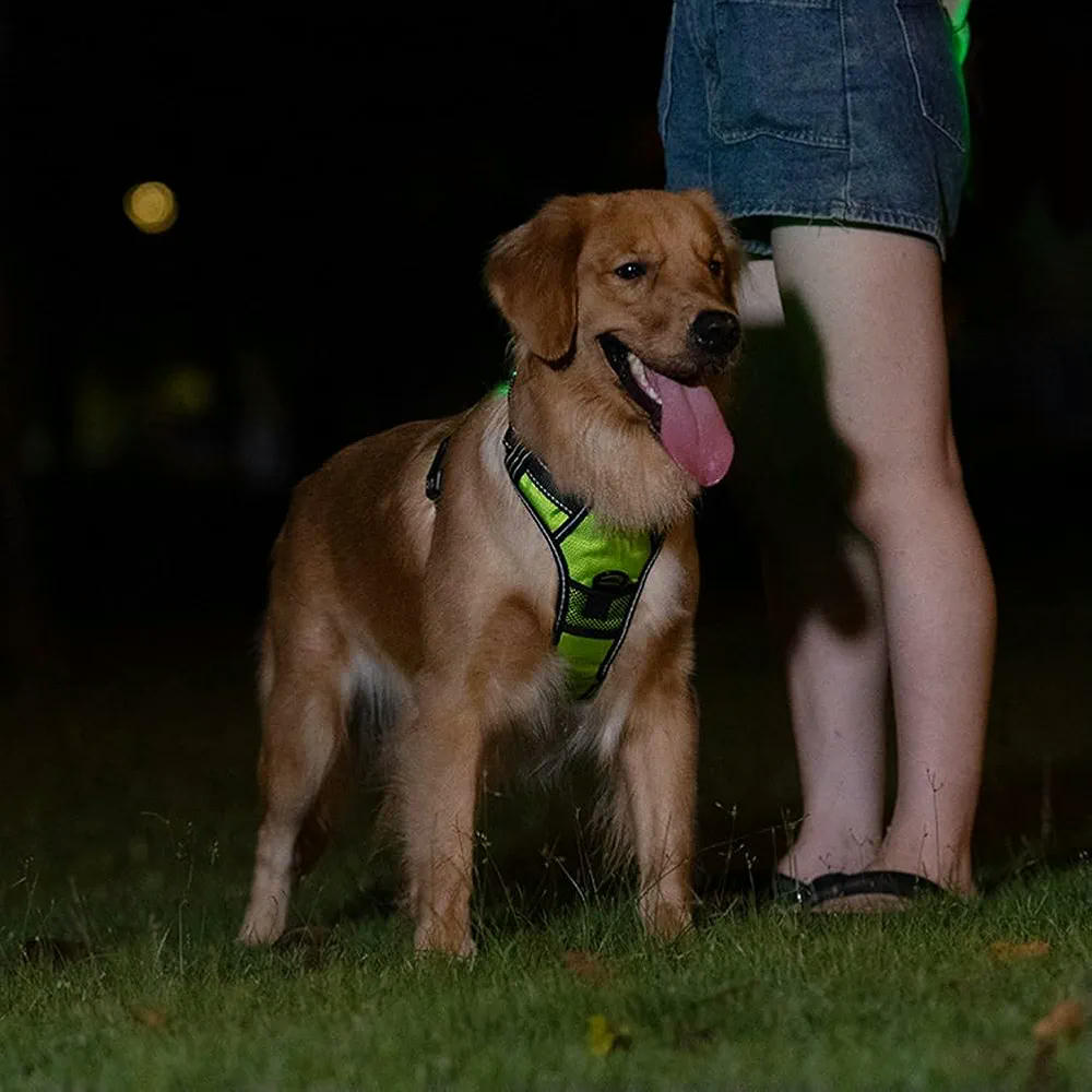 Arnés Luminoso Goufride para Mascotas, Arnés Ajustable para Perros, Talla M, Color Verde, Material Tela Oxford