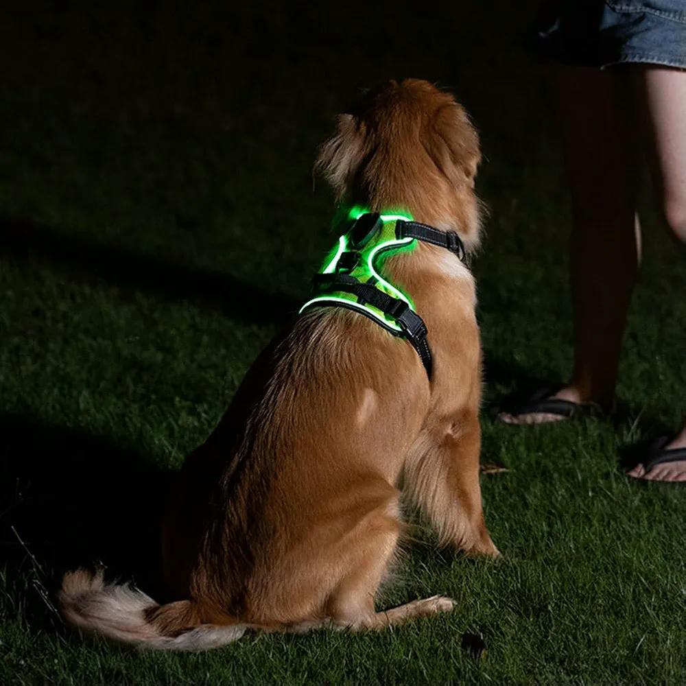 Arnés Luminoso Goufride para Mascotas, Arnés Ajustable para Perros, Talla M, Color Verde, Material Tela Oxford