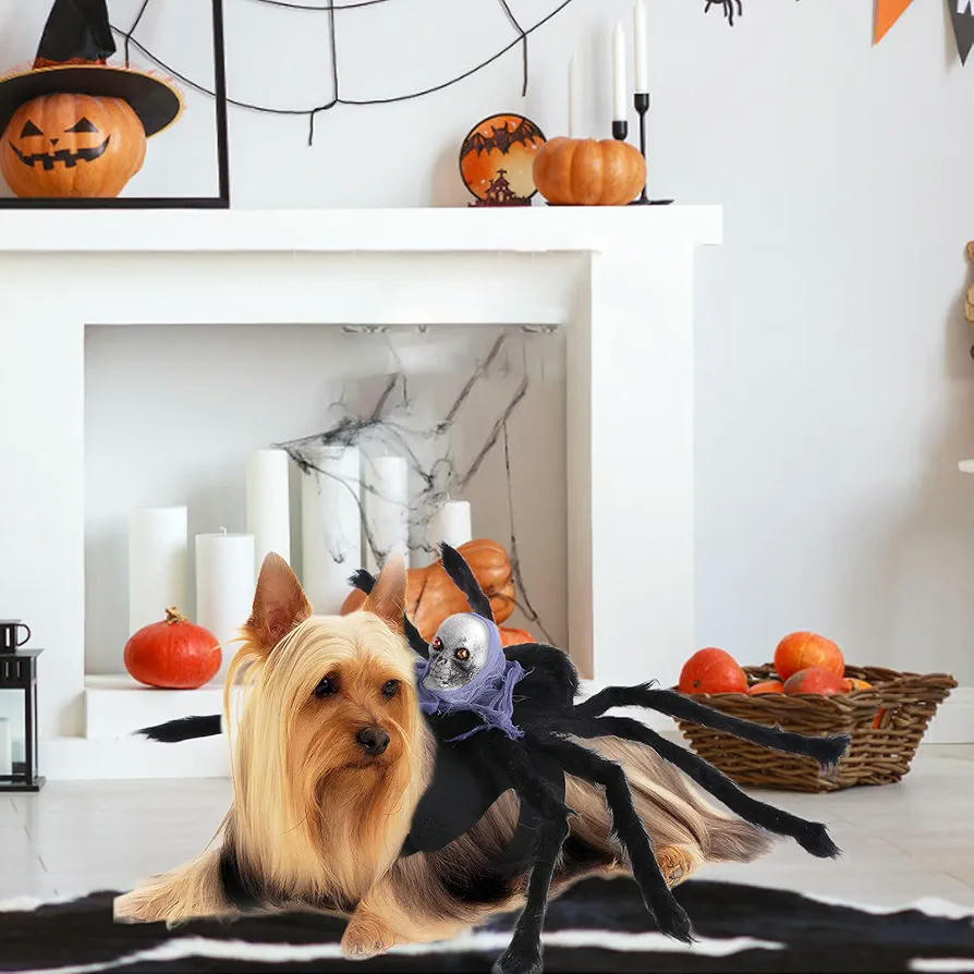 Disfraz de Halloween para Perros y Gatos, Traje de Araña Calavera Morada, Ideal para Mascotas Pequeñas y Medianas, Talla M, Color Negro