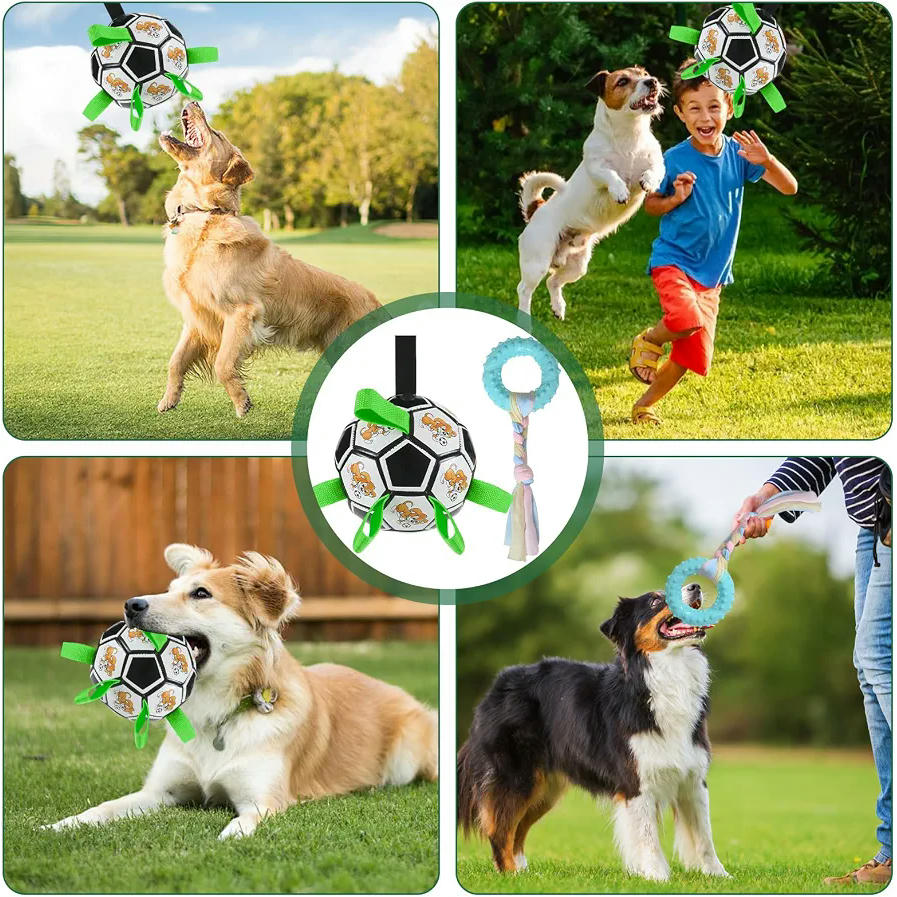 Pelota Interactiva para Perros con Bomba de Aire y Cuerda Masticar - Juguete de PVC Resistente