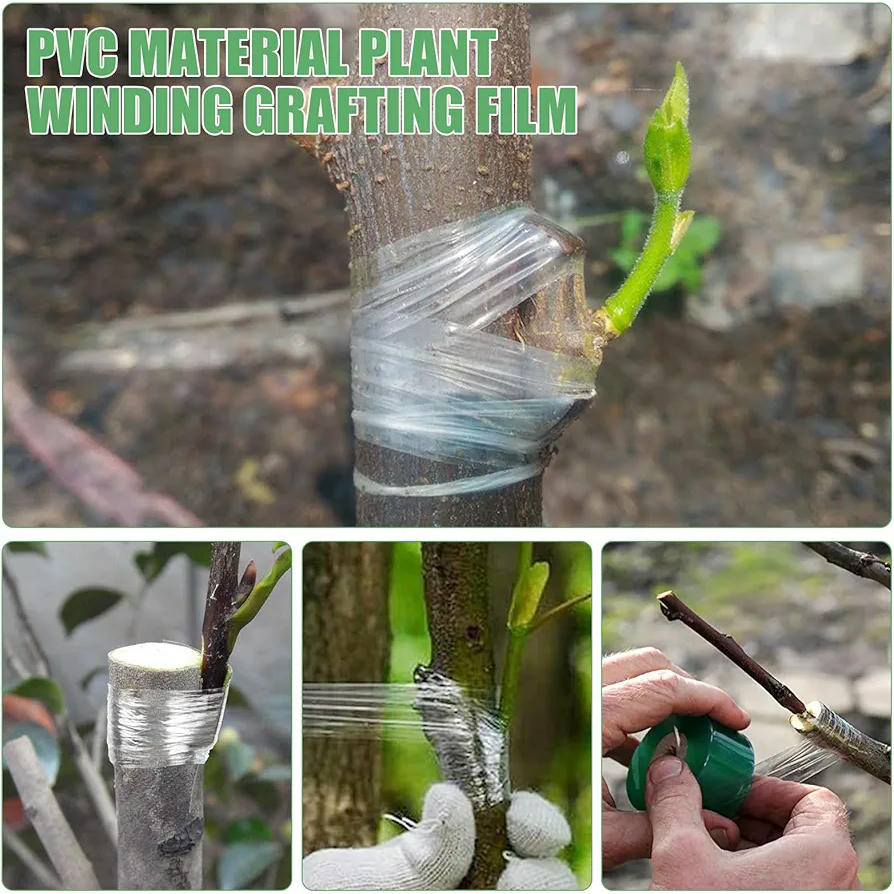 Cinta Autoadhesiva para Injerto, 3 cm x 200 m, Verde Transparente, 2 Rollos de PVC Resistente