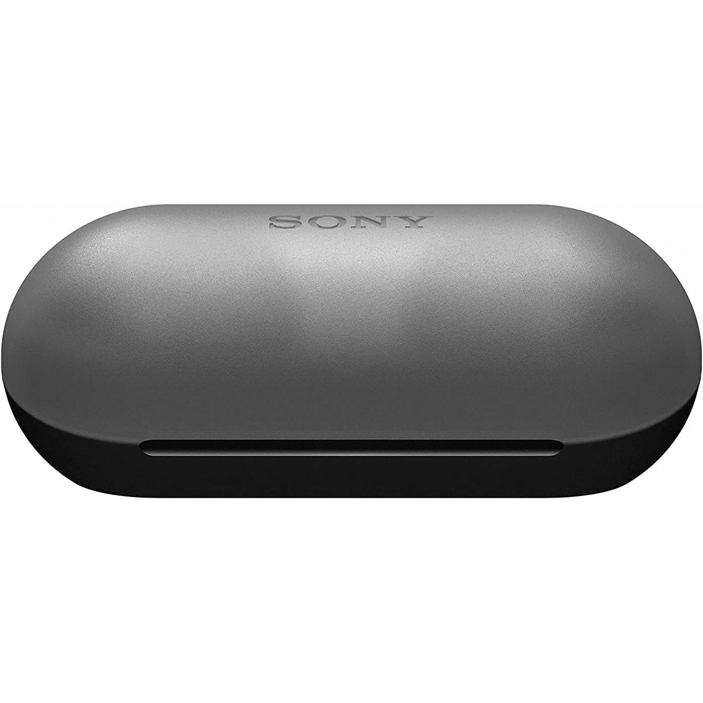 Sony WF-C500 - Auriculares "True Wireless", Hasta 20 horas de autonomía con funda de carga, Compatible con Voice Assistant, Micrófono incorporado para llamadas telefónicas, Conexión Bluetooth, Negro