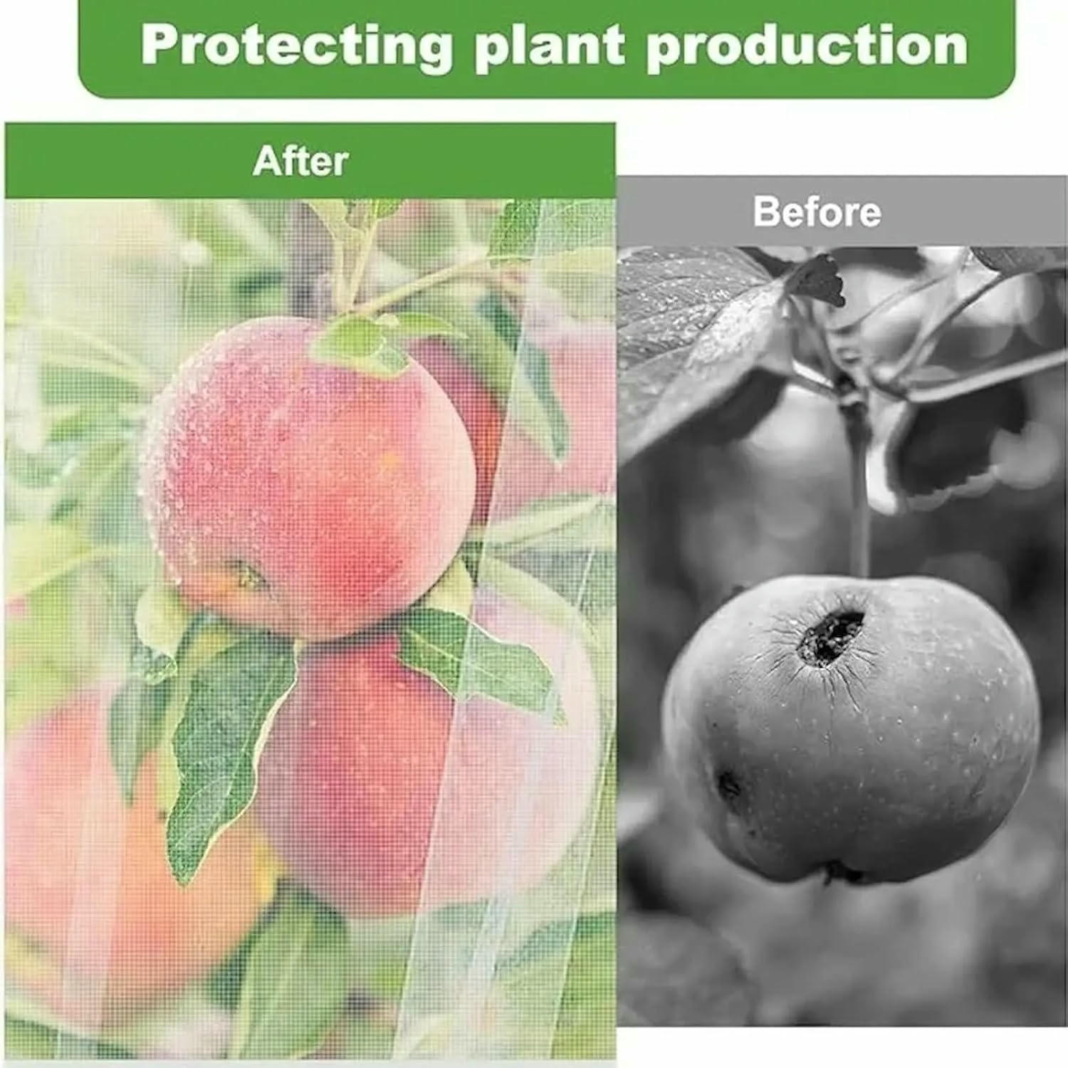 product-2